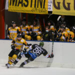 Semifinale playoff, Varese batte Merano – LE FOTO
