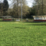 Centro Sportivo delle Bustecche