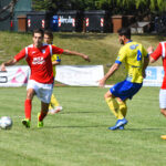 Le Zone – La Varesina piomba in rossa con Sestese e Castanese. Lockdown Vergiatese-Gavirate