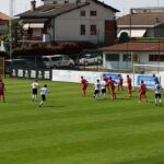 varesina-olginatese azione