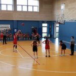 Fraccarolo Varese schiacciasassi a Vittuone