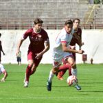 Le pagelle: il Varese si regala (quasi) la salvezza. Pioggia di 6.5; solo un 5.5