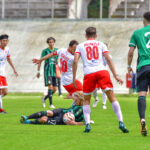VARESE CALCIO SERIE D CITTA’ DI VARESE VS. CASTELLANZESENELLA FOTO