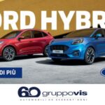 Gruppo Vis 500x300_logo