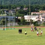 11^ giornata – Botta e risposta, 1-1 tra Gavirate e Castanese