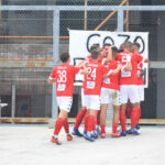 Città di Varese-Fossano, le FOTO della vittoria dei biancorossi