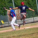 Viking Malnate Baseball