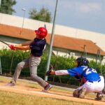 Viking Malnate Baseball
