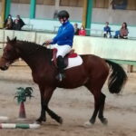 Equitazione a Cislago, vince l’inclusione