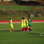 Vittoria, pareggio, sconfitta: weekend dolceamaro per Solbiatese Azalee, Gavirate e Varese