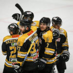 I Mastini Varese vedono i playoff: ad Appiano tutto facile, finisce 1-5