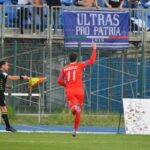 pierozzi pro patria seregno