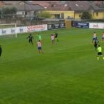 Highlights Varesina – Accademia Pavese 2-2