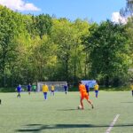 16^ – Il Bosto si prende il big match con l’Ispra, la Valceresio ne approfitta ed aggancia la vetta, Arsaghese vede i playoff