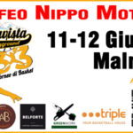 banner500x300_Torneo Malnate 3vs3