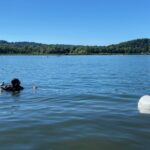 Dal 24 giugno si torna a fare il bagno alla Schiranna: Lago di Varese balneabile in quattro punti