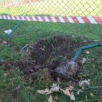 Sfondato in piena notte il campo dell’Antoniana: danni ingenti, tragedia sfiorata