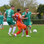 Desenzano – Città di Varese 0-1 in foto