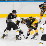Prestazione e punti, l’Hockey Varese deve ripartire da questo binomio