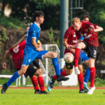 sestese verbano 11