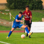 sestese verbano 8