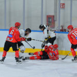 Mastini a caccia di Falcons: Bressanone arriva in una Varese affamata di hockey e di vittoria