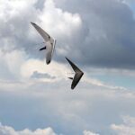 Il 2022 un anno di ripresa per il volo in deltaplano e parapendio