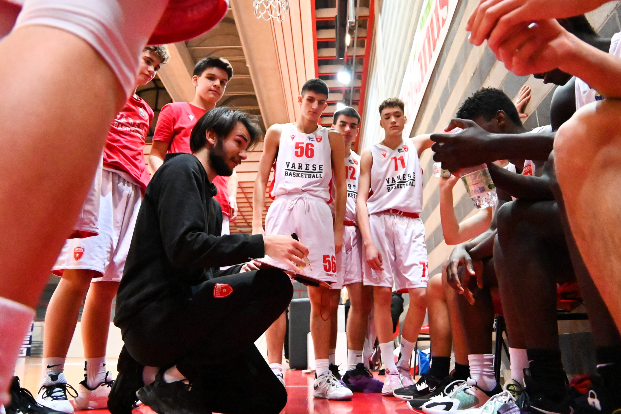 Mandole – Corengia: la Pallacanestro Varese sceglie la linea interna per il  post Galbiati | VareseSport