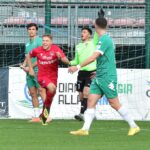 Doppio colpo per il Varese: solidità a centrocampo, freschezza in attacco