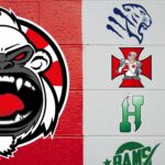 Gorillas Varese (1)