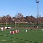 17^ – Cade il Varese, inciampo Varesina. Castanese e Caronnese in ascesa