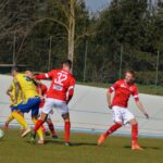 26^ – Varese ko, ma la classifica è clemente. Stop Varesina, pareggino inutile per la Caronnese