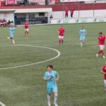 33^ – Varese ai playout, Varesina fuori dai playoff. All’Ossola si deciderà il campionato