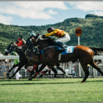 Un sabato di grandi emozioni all’Ippodromo di Varese: 6 corse in programma