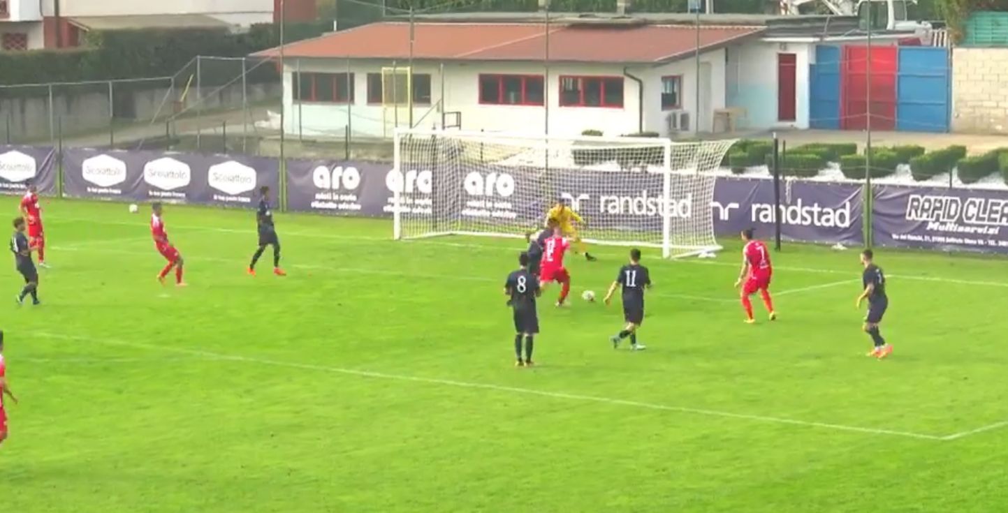 Vitale e Gasparri fanno volare la Fenici: la Varesina vince 2-0 contro la Virtus CiseranoBergamo