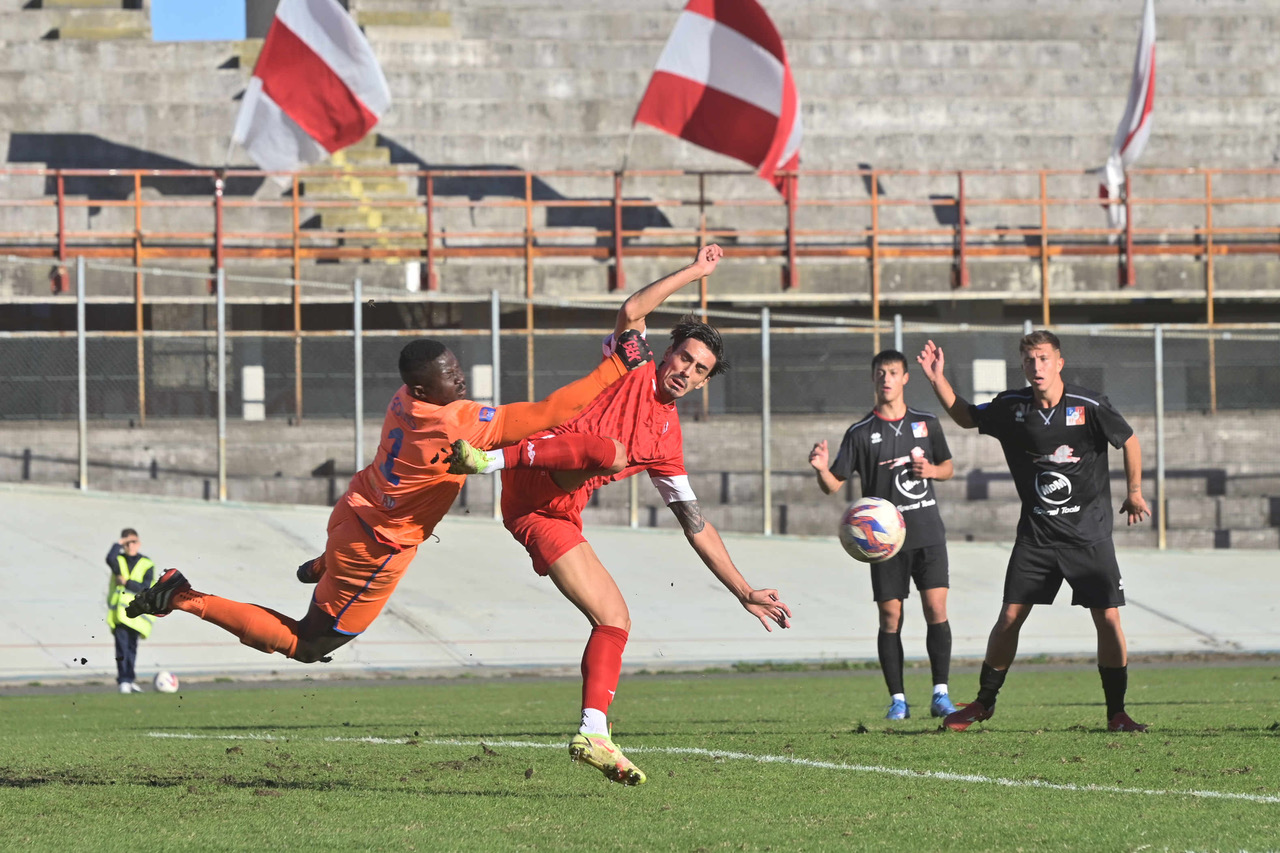 Bum bum Banfi, il Varese torna a vincere: 2-1 sul fanalino di coda PDHAE
