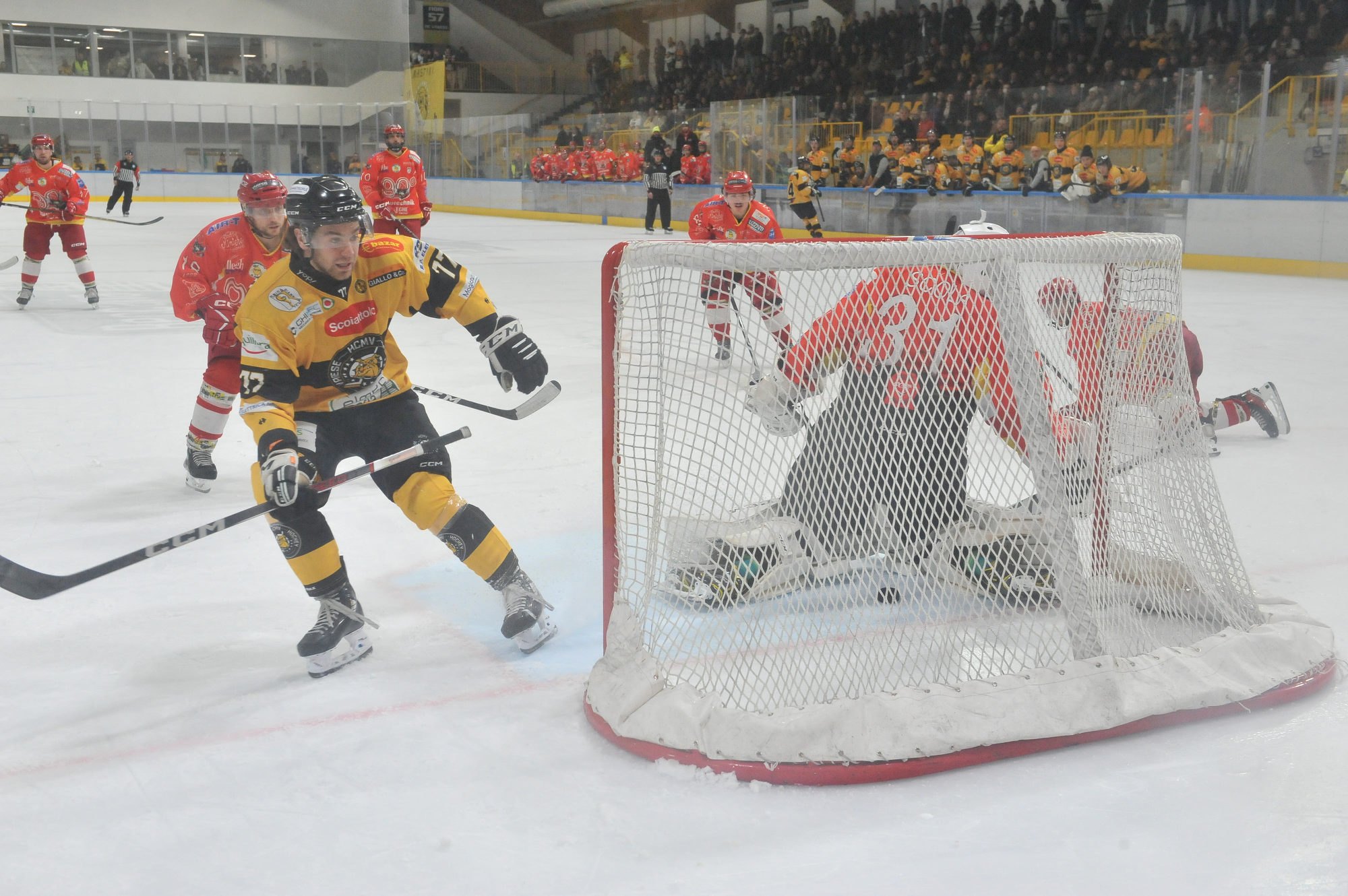 I Mastini stappano il 2024 sulle Civette: Alleghe al tappeto 4-3 e il Master Round inizia con il sorriso