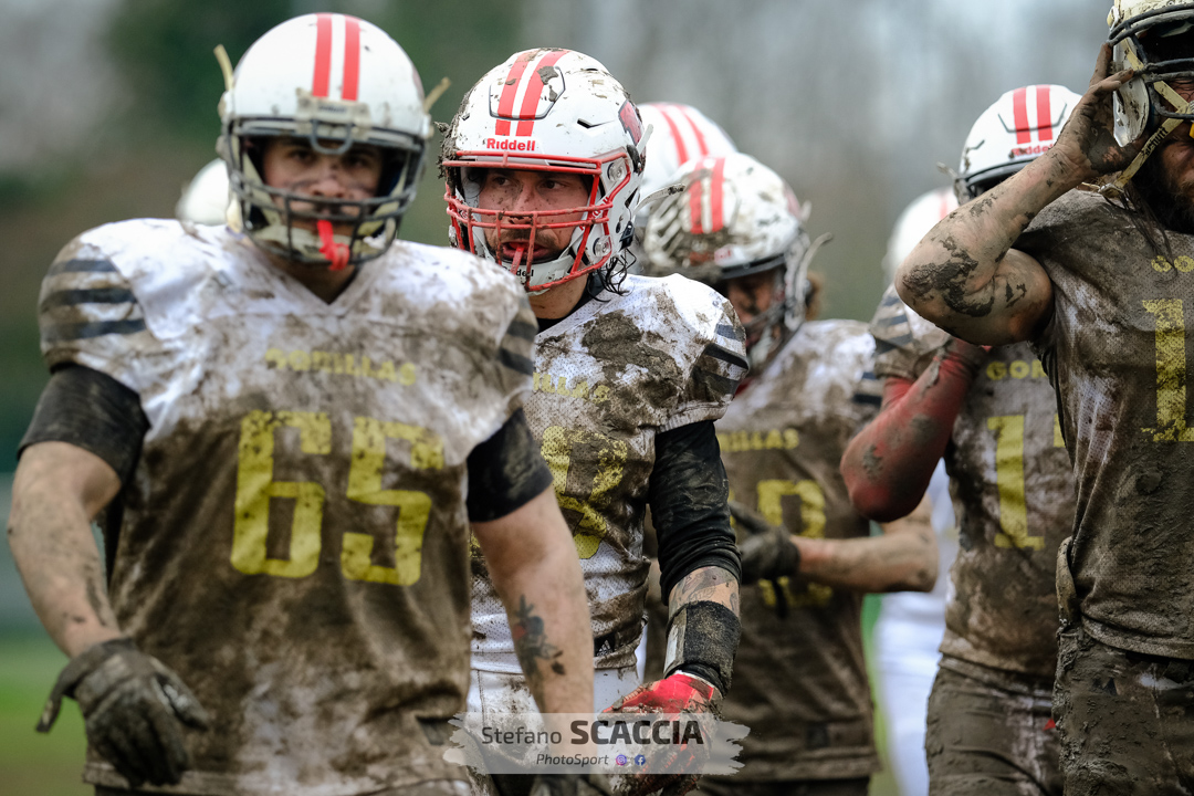 9FL – I Gorillas inaugurano il Jungle Field contro i Blitz Ciriè, Ambrosetti: “Lavorato tanto, vinciamo per San Fermo”
