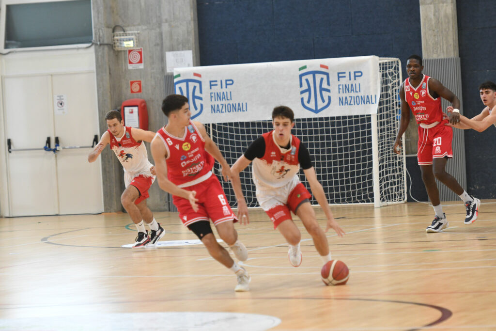 Pallacanestro Varese: Bottelli rimane. Per lui possibile anche un ruolo in Prima Squadra