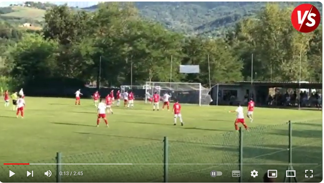 Piacenza- Varese 2-2: gli highlights