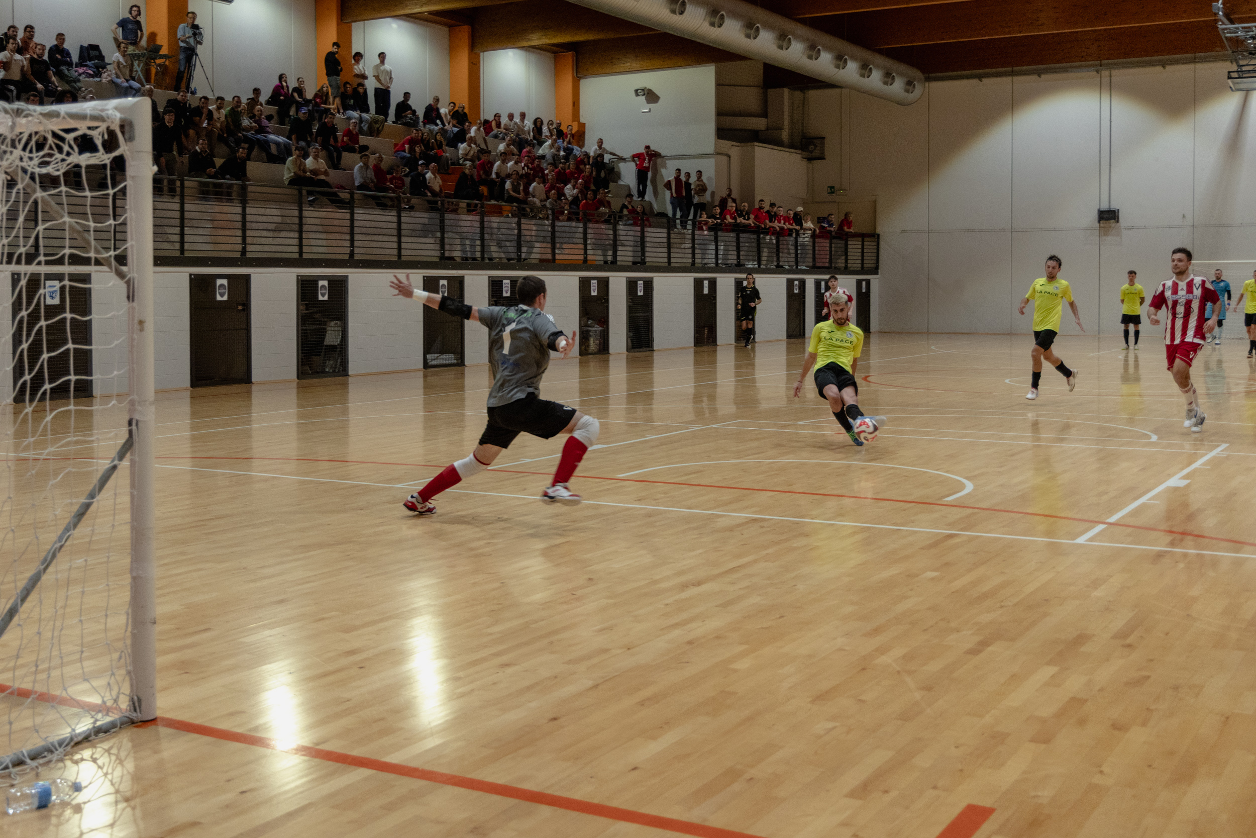 Futsal Varese, un nuovo inizio. La C1 parte da Rho, Scialpi: “Emozionati ma pronti”