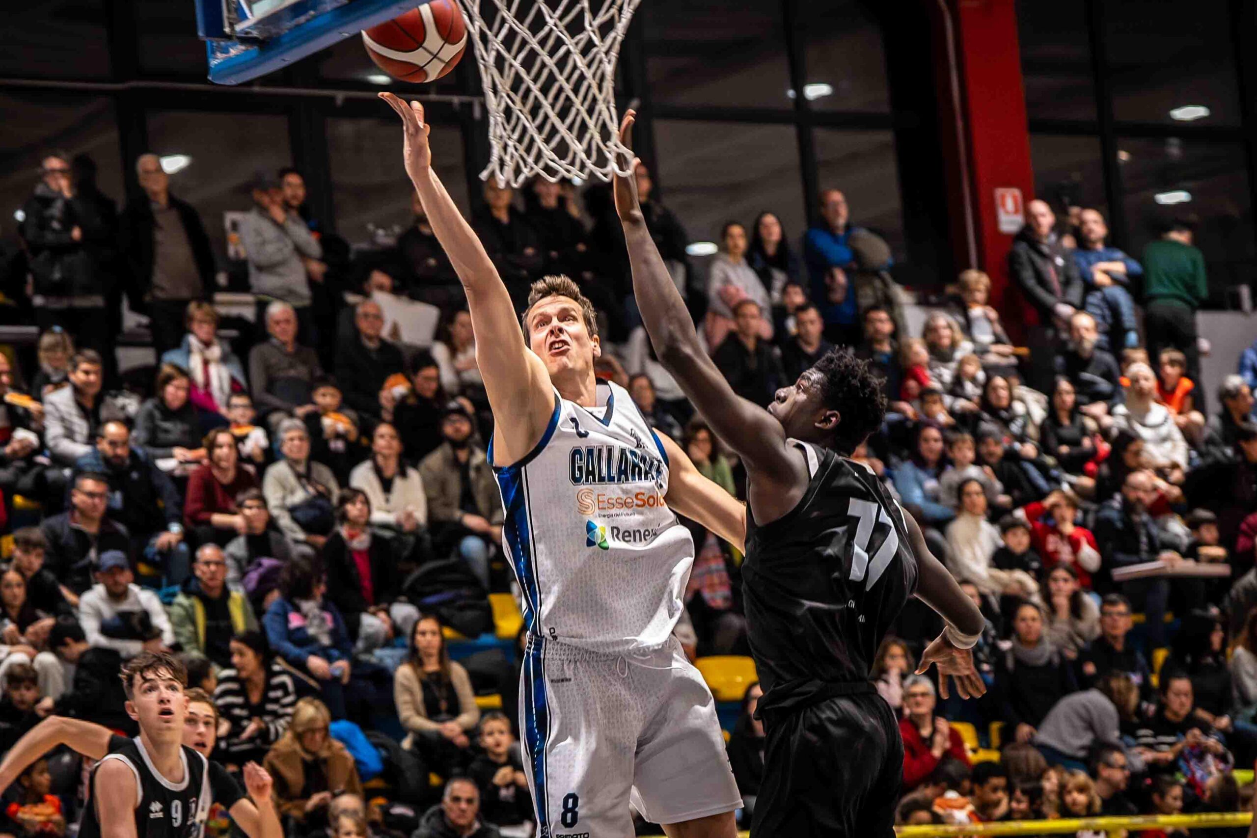 BasketBall Gallarate torna alla vittoria: Tortona ko 73-66