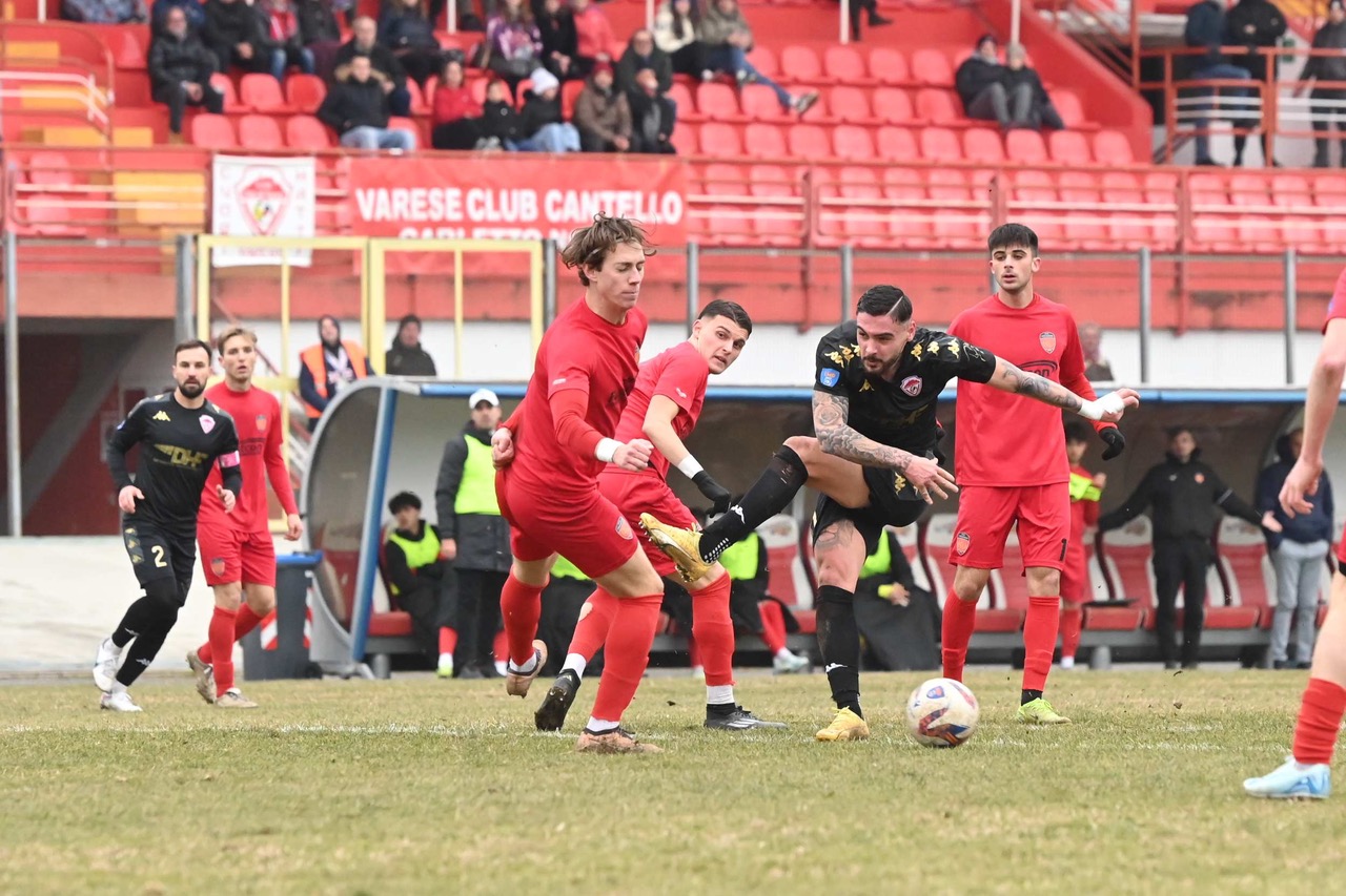 Le pagelle – Vitofrancesco pazzesco, Bonaccorsi goleador. Benissimo Lari: per il Varese piovono 7