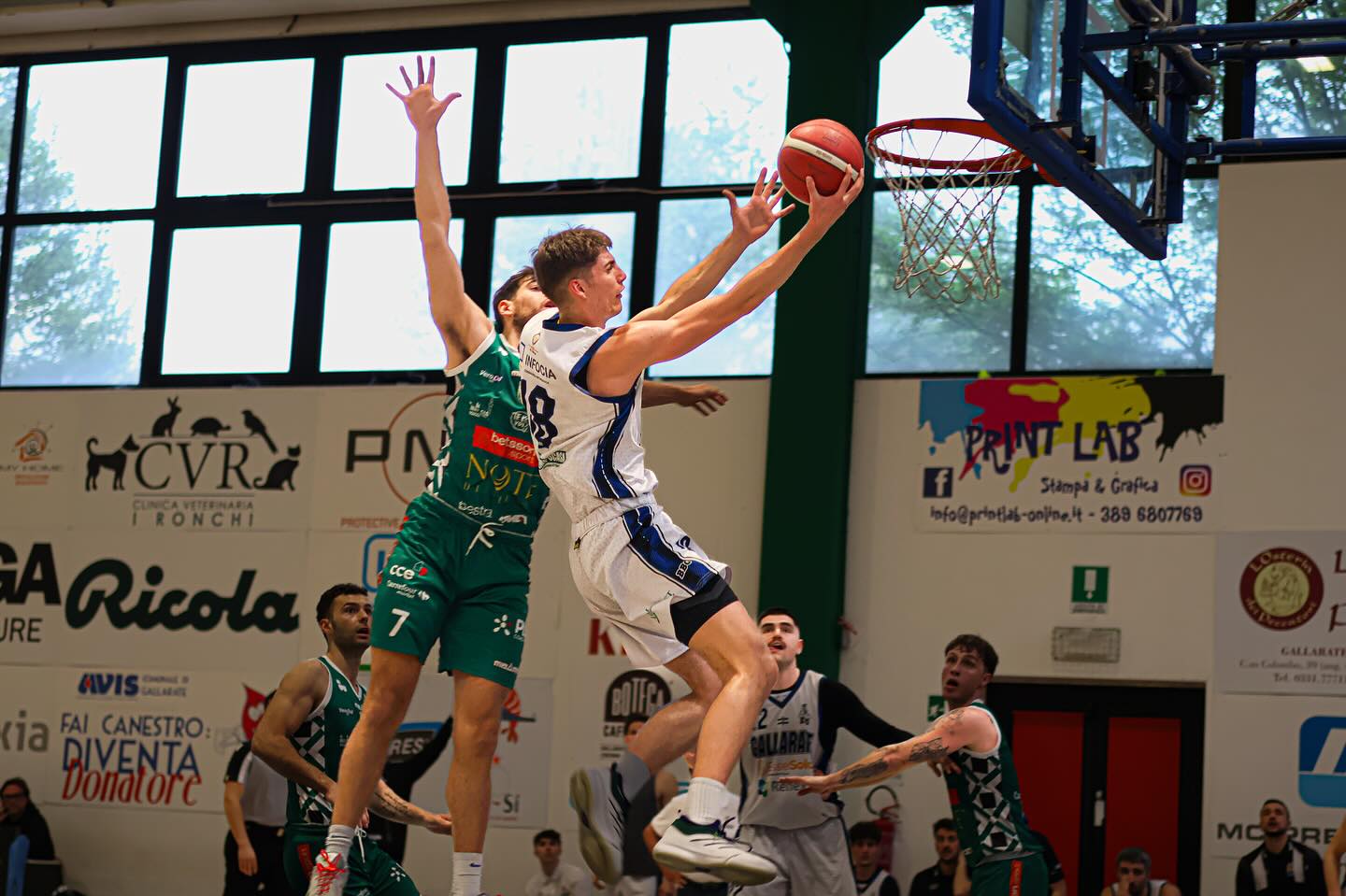 BBG, continua la rivoluzione: in 6 salutano. Redaelli diretto alla Virtus Siena, Fedeli va a WIZ Legnano