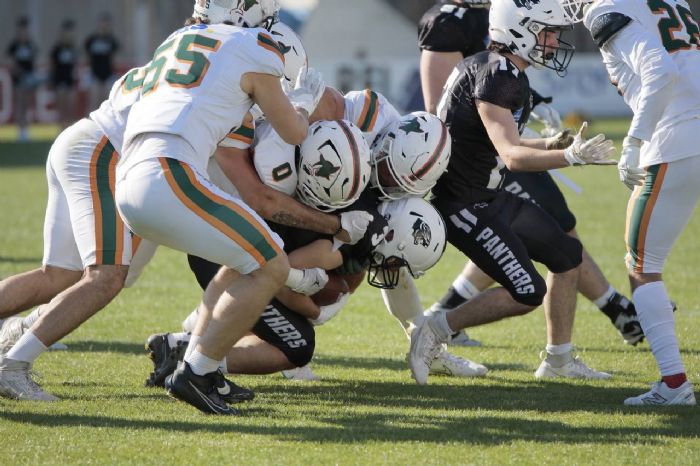 Dolphins imperiosi a Parma, Frogs secondi. Giaguari ai playoff, agli Skorpions basta una vittoria