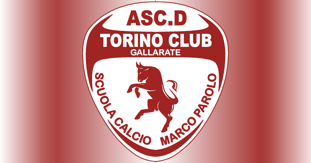 Playoff: il Torino Club aspetta le avversarie alla fase regionale – GLI ABBINAMENTI