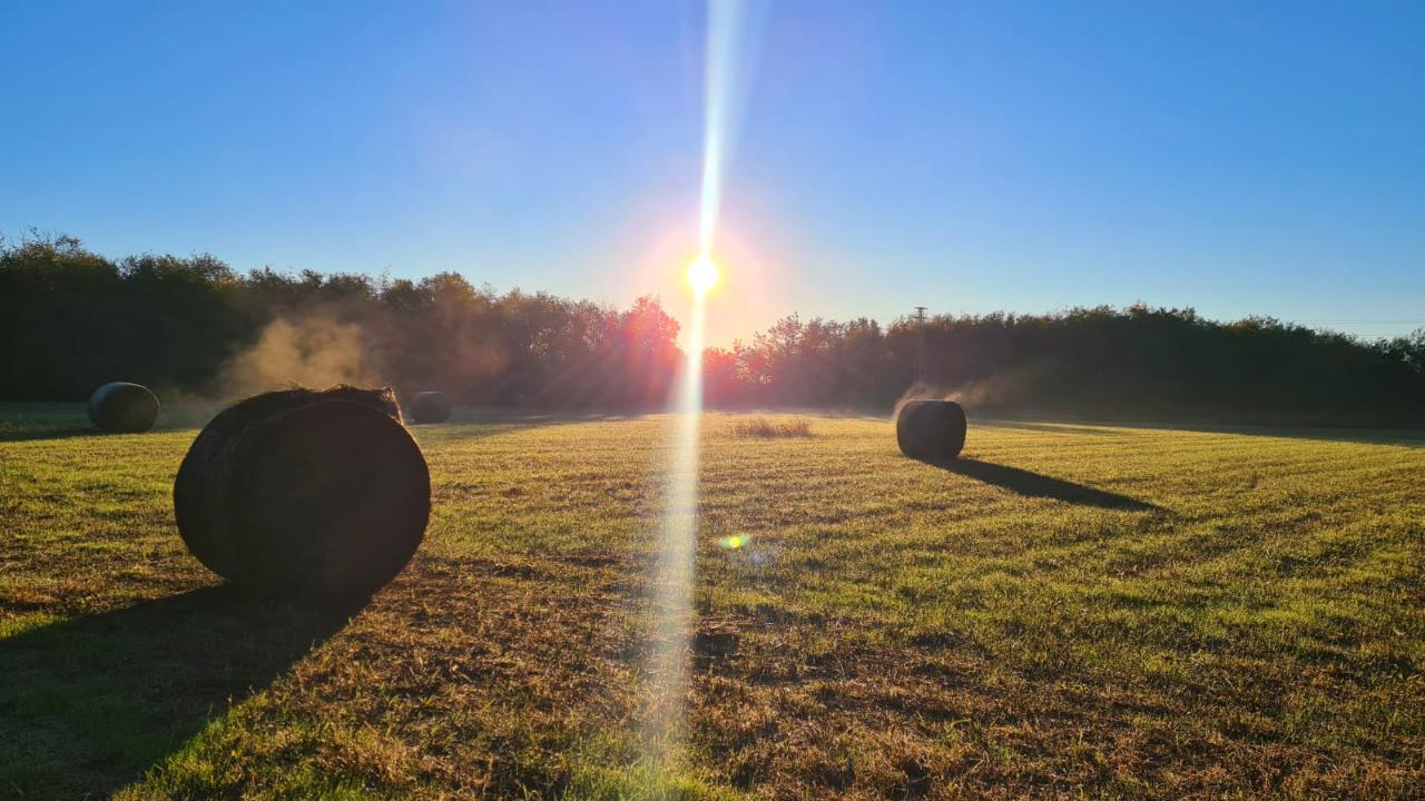 La Roccolo Cross Country debutta il 6 luglio: corsa, inclusione e territorio al centro della nuova avventura