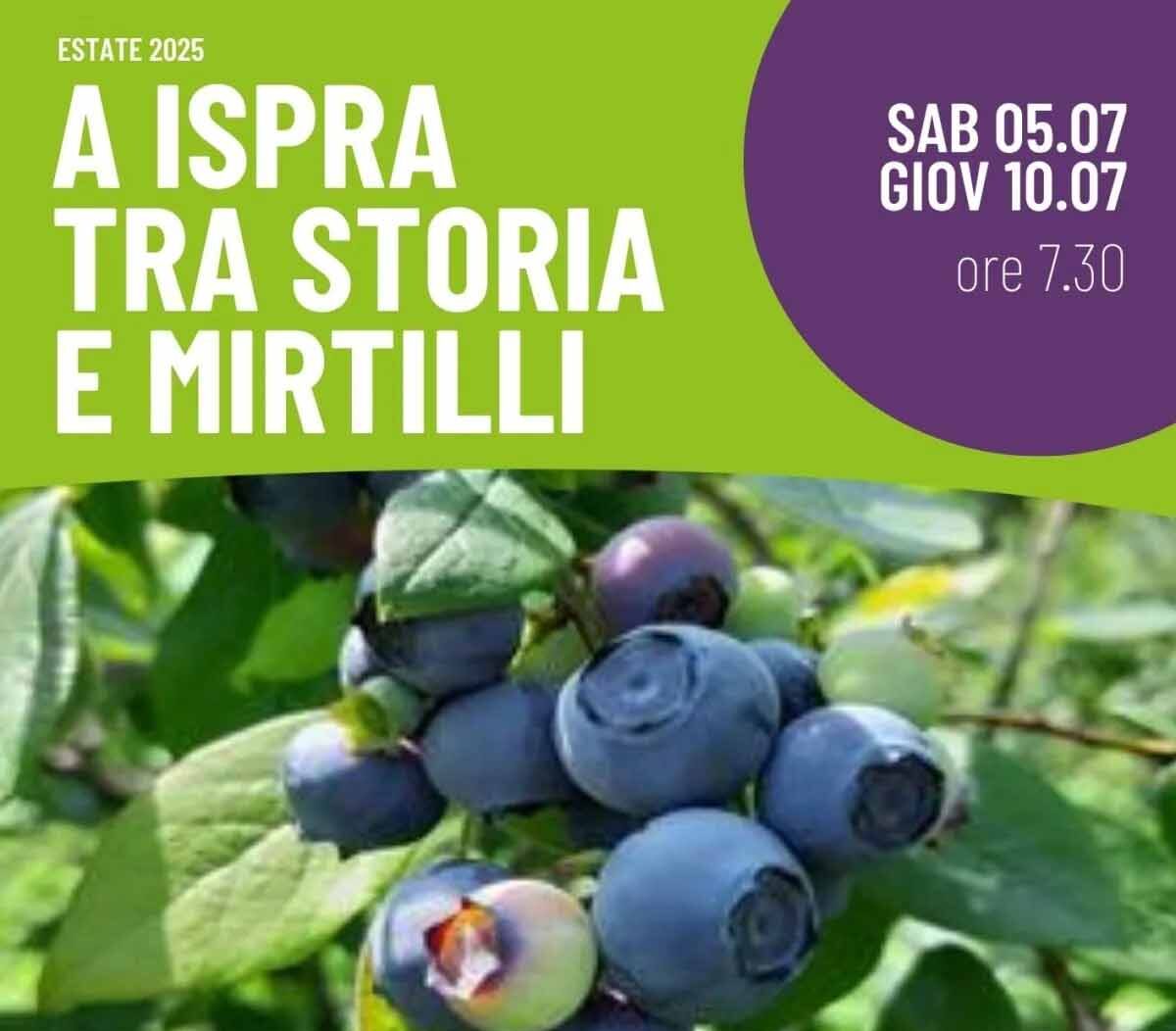 Ispra: passeggiate guidate all’alba il 5 e il 10 luglio, godendosi il fresco del lago e raccogliendo mirtilli