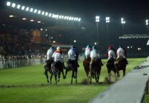 Varese Park Racecourse, sabato sera torna lo spettacolo del galoppo: in palio oltre 91 mila euro