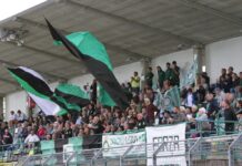 La Castellanzese esulta: ufficiale il ripescaggio in Serie D. Altre cinque squadre completano l’organico
